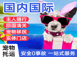 宜春明月山机场快运国际宠物托运 【国